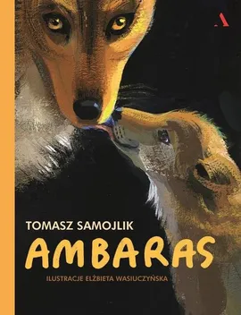 Ambaras - Tomasz Samojlik