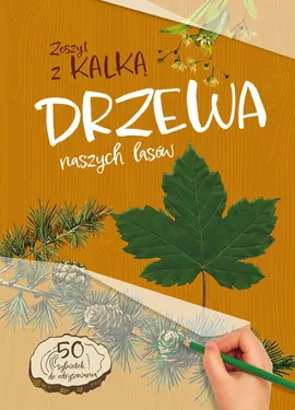 Drzewa naszych lasów Zeszyt z kalką - Andżelika Bielańska