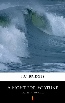 A Fight for Fortune - T.C. Bridges, T.C. Bridges