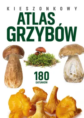 Kieszonkowy atlas grzybów. 180 gatunków - Wiesław Kamiński, Patrycja Zarawska