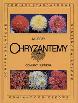Chryzantemy Odmiany i uprawa - Marek Jerzy