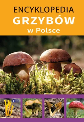 Encyklopedia grzybów w Polsce - Outlet