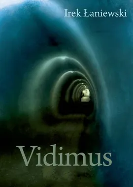 Vidimus - Outlet - Irek Łaniewski