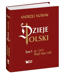 Dzieje Polski Tom 1 - Outlet - Andrzej Nowak