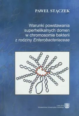 Warunki powstania superhelikalnych domen w chromosomie bakterii z rodziny Enterobacteriaceae - Paweł Stączek