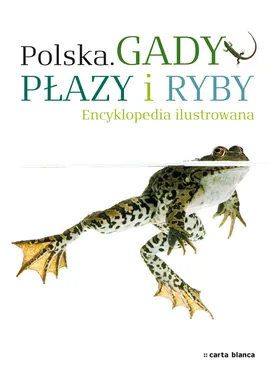 Polska Gady płazy i ryby Encyklopedia ilustrowana