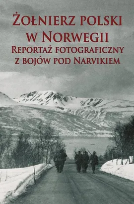 Żołnierz polski w Norwegii