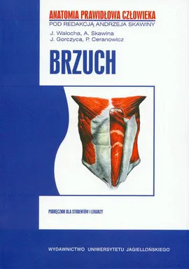 APC Brzuch - Outlet
