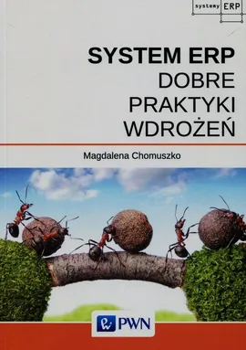 System ERP Dobre praktyki wdrożeń - Magdalena Chomuszko