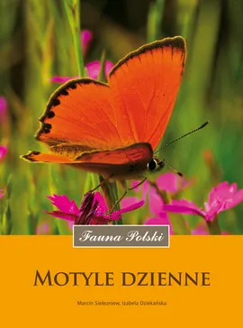 Motyle dzienne - Izabela Dziekańska, Marcin Sielezniew