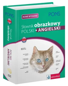 Słownik obrazkowy Polski Angielski - Outlet