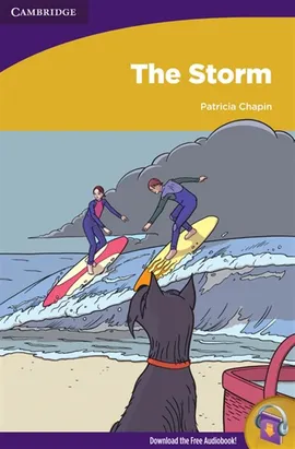 The Storm - Patricia Chapin