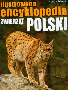 Ilustrowana encyklopedia zwierząt Polski - Outlet - Jerzy Abramowicz, Barbara Ćwikowska, Cezary Ćwikowski