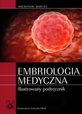 Embriologia medyczna ilustrowany podręcznik - Outlet - Hieronim Bartel