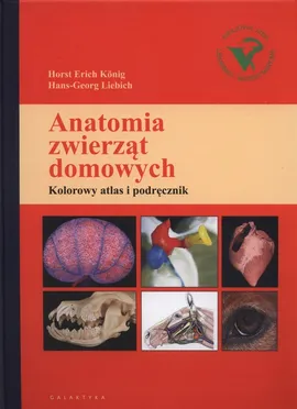Anatomia zwierząt domowych - Konig Horst Erich, Hans-Georg Liebich