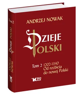 Dzieje Polski Od rozbicia do nowej Polski Tom 2 - Outlet - Andrzej Nowak
