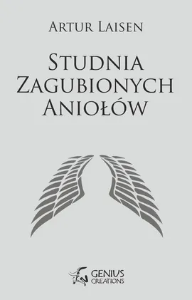 Studnia Zagubionych Aniołów - Artur Laisen