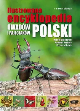Ilustrowana encyklopedia owadów i pajęczaków - Outlet - Michał Grabowski, Radomir Jaskuła, Krzysztof Pabis