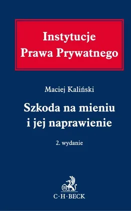 Szkoda na mieniu i jej naprawienie - Maciej Kaliński