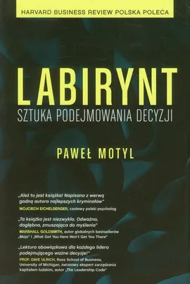 Labirynt Sztuka podejmowania decyzji - Paweł Motyl