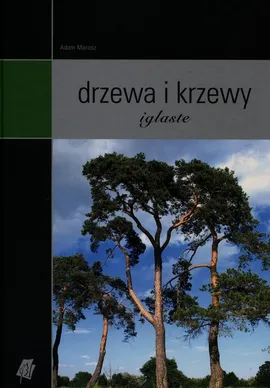 Drzewa i krzewy iglaste - Outlet - Adam Marosz