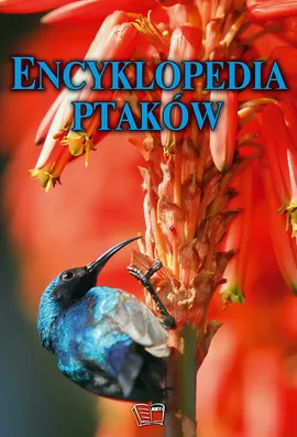 Encyklopedia ptaków - Outlet