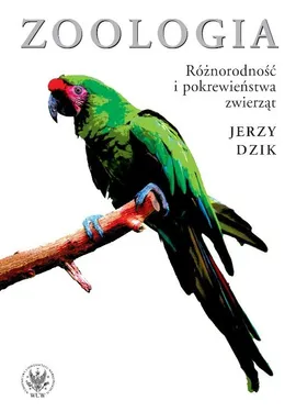 Zoologia. Różnorodność i pokrewieństwa zwierząt - Outlet - Jerzy Dzik