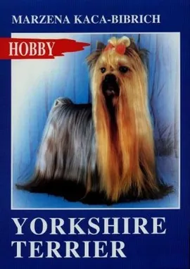 Yorkshire terrier - Marzena Kaca-Bibrich