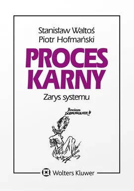 Proces karny Zarys systemu - Piotr Hofmański, Stanisław Waltoś