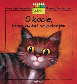 O kocie, który został czarodziejem - Outlet - Anna Onichimowska