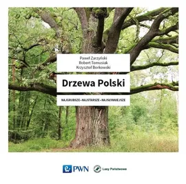 Drzewa Polski - Outlet - Krzysztof Borkowski, Robert Tomusiak, Paweł Zarzyński