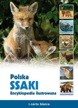 Polska Ssaki Encyklopedia ilustrowana - Outlet