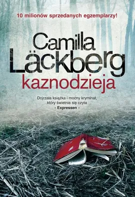 Kaznodzieja - Camilla Lackberg