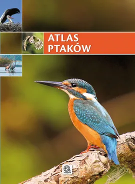 Atlas ptaków - Outlet - Praca zbiorowa