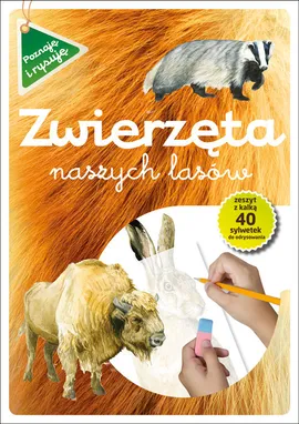 Zwierzęta naszych lasów - Grażyna Maternicka