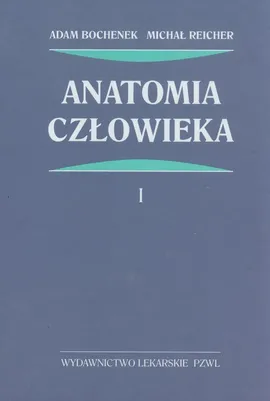 Anatomia człowieka Tom 1 - Outlet - Adam Bochenek, Michał Reicher