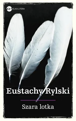 Szara lotka - Outlet - Eustachy Rylski