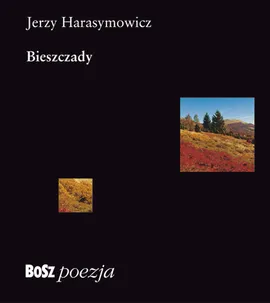 Bieszczady - Outlet - Jerzy Harasymowicz