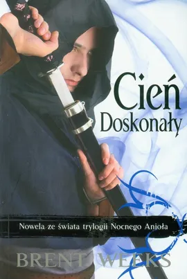 Cień doskonały - Brent Weeks