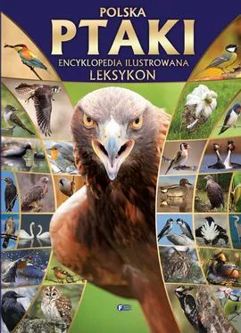 Polska ptaki encyklopedia ilustrowana leksykon - Outlet