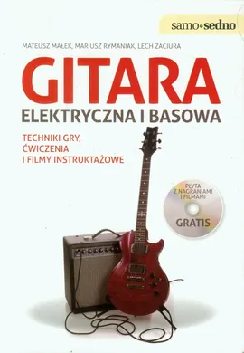 Gitara elektryczna i basowa - Mateusz Małek, Mariusz Rymaniak, Lech Zaciura