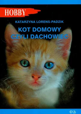 Kot domowy czyli dachowiec - Outlet - Katarzyna Lorens-Padzik