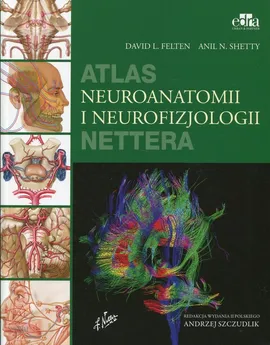 Atlas neuroanatomii i neurofizjologii Nettera - Outlet - Felten David L., Shetty Anil N.
