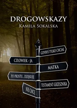 Drogowskazy - Kamila Sokalska