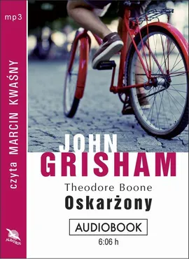 Theodore Boone: Oskarżony - John Grisham