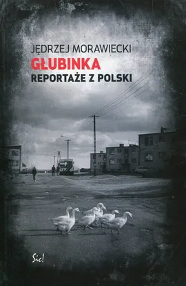 Głubinka Reportaże z Polski - Outlet - Jędrzej Morawiecki